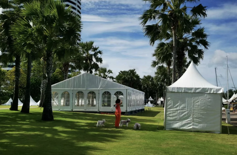 उच्च गुणवत्ता वाला सुंदर विवाह तम्बू