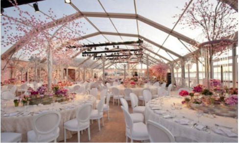 रोमांटिक हाई-वैल्यू आउटडोर वेडिंग टेंट