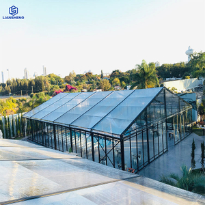 लक्जरी पार्टी वेडिंग क्लियर पीवीसी ब्लैक फ्रेम बड़ा टेंट घुमावदार हेरिंगबोन रंग वैकल्पिक एल्यूमिनियम स्टील फ्रेम इवेंट मार्की टेंट